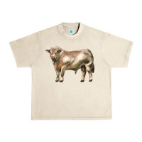 Sandshell charolais bull Urban Heavy Tee - LillyAllenDesigns