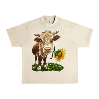 Sandshell hereford heifer with sunflower Urban Heavy Tee - LillyAllenDesigns