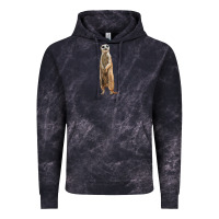 Cloud Black Meerkat Vintage Hoodie - LillyAllenDesigns