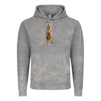Cloud Rock Meerkat Vintage Hoodie - LillyAllenDesigns