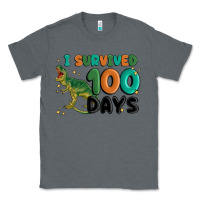 Charcoal Heather i survived 100 days Classic Tee - MaliasSmallBusiness