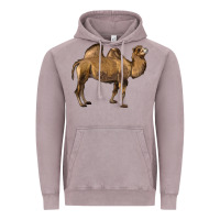 Vintage Zinc Camel Vintage Hoodie - LillyAllenDesigns
