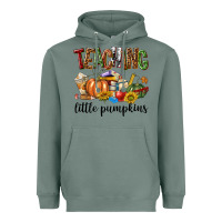 Sage Teaching Little Pumpkins Heavyweight Hoodie - texasbilliewilder