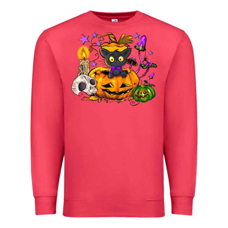 Black Cat Pumpkin Premium Sweatshirt by NancyCooperArtShop | Teevron