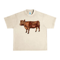 Sandshell red angus cow Urban Heavy Tee - LillyAllenDesigns