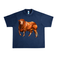 Navy red angus bull Urban Heavy Tee - LillyAllenDesigns