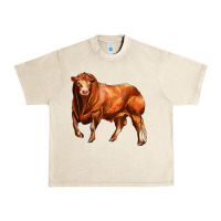 Sandshell red angus bull Urban Heavy Tee - LillyAllenDesigns