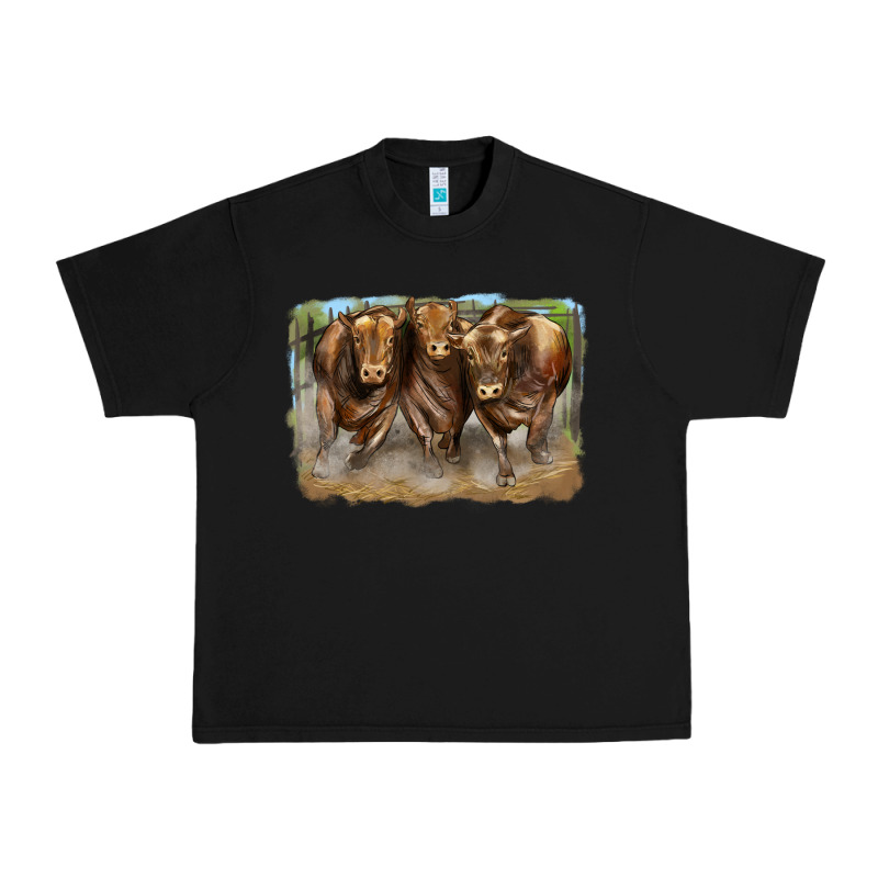 3 Red Angus Bulls Urban Heavy Tee by LillyAllenDesigns | Teevron
