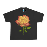 Pigment Black rainbow's end rose Urban Heavy Tee - LillyAllenDesigns