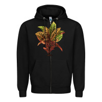 Black Croton Zipper Hoodie - LillyAllenDesigns