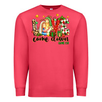 Cardinal love came down luke 2 11 Premium Sweatshirt - texasbilliewilder
