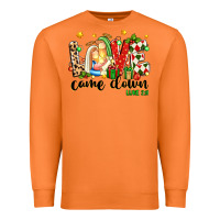 Carrot love came down luke 2 11 Premium Sweatshirt - texasbilliewilder