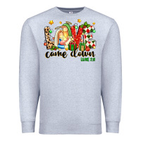 Heather Grey love came down luke 2 11 Premium Sweatshirt - texasbilliewilder