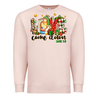 Pale Pink love came down luke 2 11 Premium Sweatshirt - texasbilliewilder