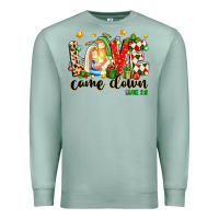 Seafoam love came down luke 2 11 Premium Sweatshirt - texasbilliewilder