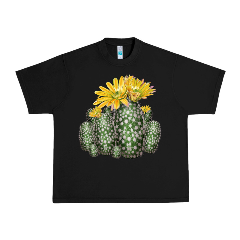 Texas Rainbow Cactus Urban Heavy Tee by LillyAllenDesigns | Teevron