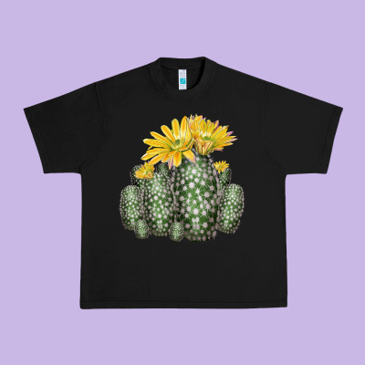 Texas Rainbow Cactus Urban Heavy Tee Designed By Lillyallendesigns