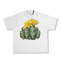 Lunar Rock texas rainbow cactus Urban Heavy Tee - LillyAllenDesigns