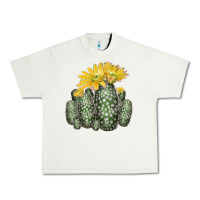Pistachio texas rainbow cactus Urban Heavy Tee - LillyAllenDesigns