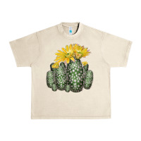 Sandshell texas rainbow cactus Urban Heavy Tee - LillyAllenDesigns