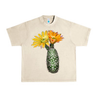 Sandshell texas rainbow cactus Urban Heavy Tee - LillyAllenDesigns