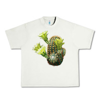 Pistachio nylon hedgehog cactus Urban Heavy Tee - LillyAllenDesigns
