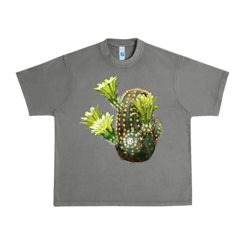 Nylon Hedgehog Cactus Urban Heavy Tee by LillyAllenDesigns | Teevron