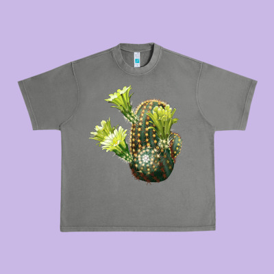 Nylon Hedgehog Cactus Urban Heavy Tee Designed By Lillyallendesigns