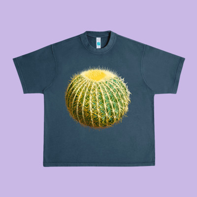 Golden Barrel Cactus Urban Heavy Tee Designed By Lillyallendesigns