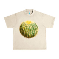 Sandshell golden barrel cactus Urban Heavy Tee - LillyAllenDesigns