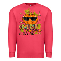 Cardinal Coolest Pumpkin In The Patch Premium Sweatshirt - texasbilliewilder