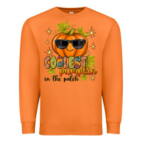 Carrot Coolest Pumpkin In The Patch Premium Sweatshirt - texasbilliewilder