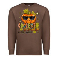 Chestnut Coolest Pumpkin In The Patch Premium Sweatshirt - texasbilliewilder