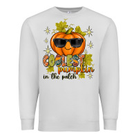 Dove Grey Coolest Pumpkin In The Patch Premium Sweatshirt - texasbilliewilder