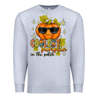Coolest Pumpkin In The Patch Premium Sweatshirt | Teevron