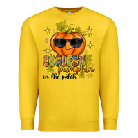 Lemon Coolest Pumpkin In The Patch Premium Sweatshirt - texasbilliewilder