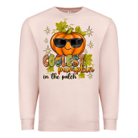 Pale Pink Coolest Pumpkin In The Patch Premium Sweatshirt - texasbilliewilder