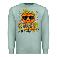 Seafoam Coolest Pumpkin In The Patch Premium Sweatshirt - texasbilliewilder