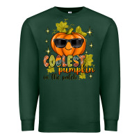 Sports Green Coolest Pumpkin In The Patch Premium Sweatshirt - texasbilliewilder