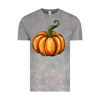 Cloud Rock pumpkin Vintage Tee - BarkalooDesign