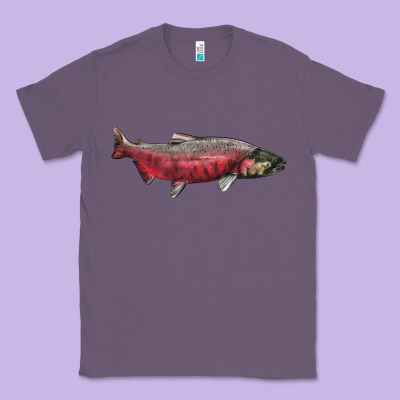 Chinook Salmon Fish Illustrations Classic Tee Designed By Lillyallendesigns