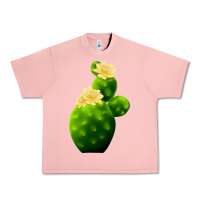 Salmon texas cactus Urban Heavy Tee - LillyAllenDesigns