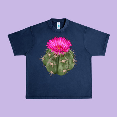 Eagle Claws Cactus Urban Heavy Tee Designed By Lillyallendesigns