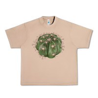 Burro eagle claws cactus Urban Heavy Tee - LillyAllenDesigns