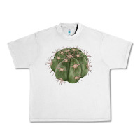 Lunar Rock eagle claws cactus Urban Heavy Tee - LillyAllenDesigns