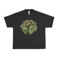 Pigment Black eagle claws cactus Urban Heavy Tee - LillyAllenDesigns