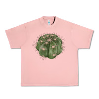 Salmon eagle claws cactus Urban Heavy Tee - LillyAllenDesigns