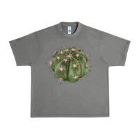 Tornado eagle claws cactus Urban Heavy Tee - LillyAllenDesigns
