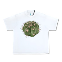 White eagle claws cactus Urban Heavy Tee - LillyAllenDesigns
