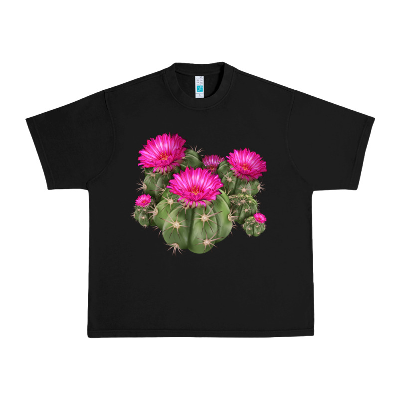 Eagle Claws Cacti Urban Heavy Tee by LillyAllenDesigns | Teevron